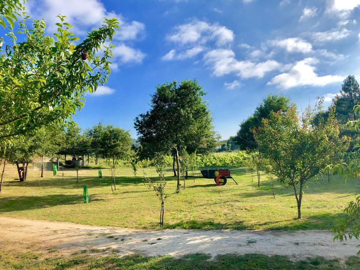 Vila Casa Da Quinta Da Prelada Simao Celorico De Basto Exteriér fotografie